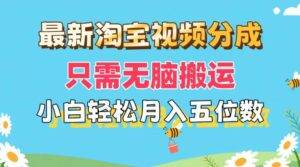 （11744期）最新淘宝视频分成，只需无脑搬运，小白也能轻松月入五位数，可矩阵批量...-安稳项目网-网上创业赚钱首码项目发布推广平台-首码网