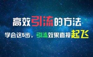 （11776期）高效引流的方法，可以帮助你日引300+创业粉，一年轻松收入30万，比打工强-安稳项目网-网上创业赚钱首码项目发布推广平台-首码网