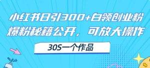 （11692期）小红书日引300+高质白领创业粉，可放大操作，爆粉秘籍！30s一个作品-安稳项目网-网上创业赚钱首码项目发布推广平台-首码网