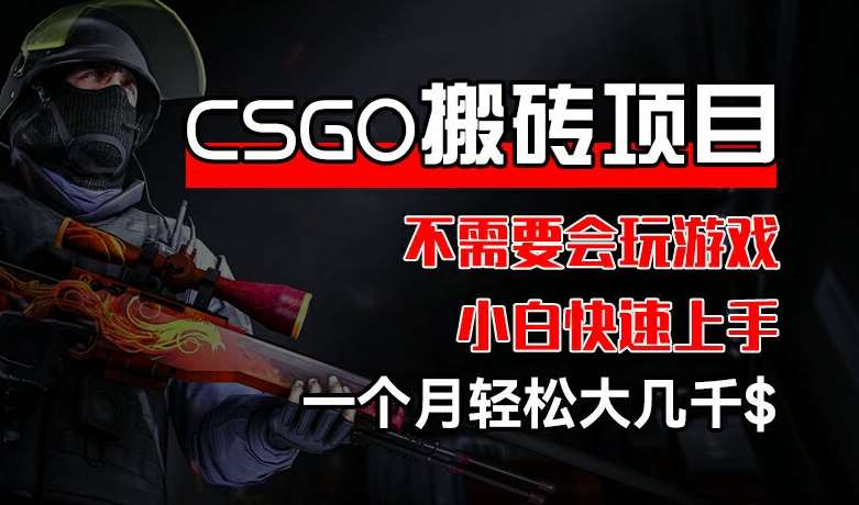 CSGO 装备搬砖项目，操作简单，不需要会玩游戏，小白也能快速上手，一个月轻松大几千【揭秘】-安稳项目网-网上创业赚钱首码项目发布推广平台-首码网