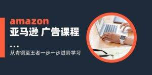 （11839期）amazon亚马逊 广告课程：从青铜至王者一步一步进阶学习（16节）-安稳项目网-网上创业赚钱首码项目发布推广平台-首码网