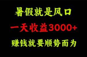 （11670期）一天收益3000+ 赚钱就是顺势而为，暑假就是风口-安稳项目网-网上创业赚钱首码项目发布推广平台-首码网