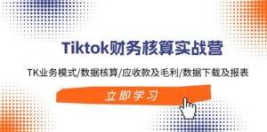 （11978期）Tiktok财务核算实战营：TK业务模式/数据核算/应收款及毛利/数据下载及报表-安稳项目网-网上创业赚钱首码项目发布推广平台-首码网