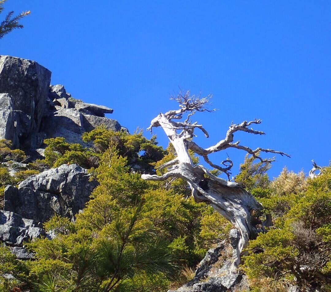 董毓晖《东方选择》短文的五点启示-安稳项目网-网上创业赚钱首码项目发布推广平台-首码网