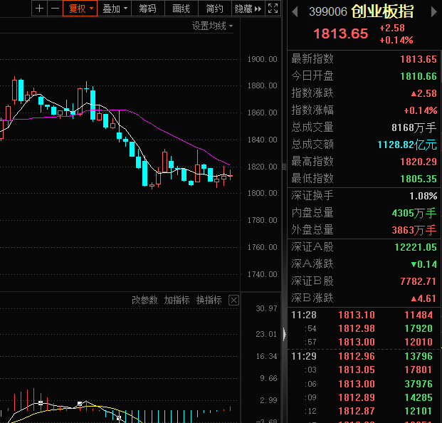 富国中证创业板分级基金_富国创业板指数分级_富国创业板指数基金怎么样