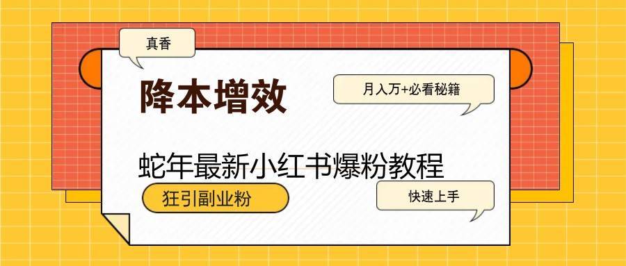 蛇年最新小红书爆粉教程，狂引副业粉，月入万+必看-安稳项目网-网上创业赚钱首码项目发布推广平台-首码网