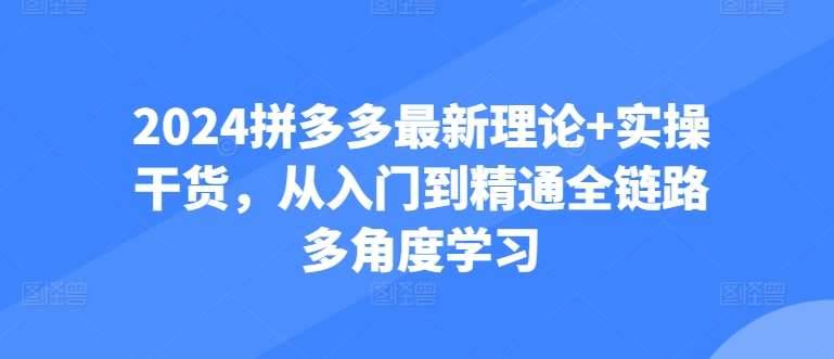 2024拼多多最新理论+实操干货，从入门到精通全链路多角度学习-安稳项目网-网上创业赚钱首码项目发布推广平台-首码网