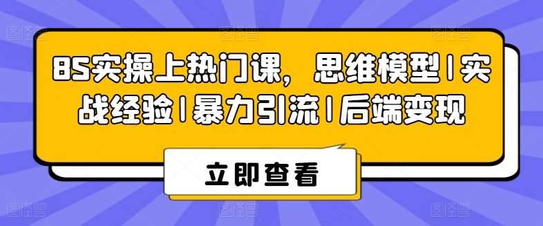 8S实操上热门课，思维模型|实战经验|暴力引流|后端变现-安稳项目网-网上创业赚钱首码项目发布推广平台-首码网