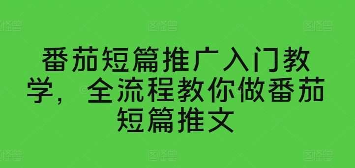 番茄短篇推广入门教学，全流程教你做番茄短篇推文-安稳项目网-网上创业赚钱首码项目发布推广平台-首码网