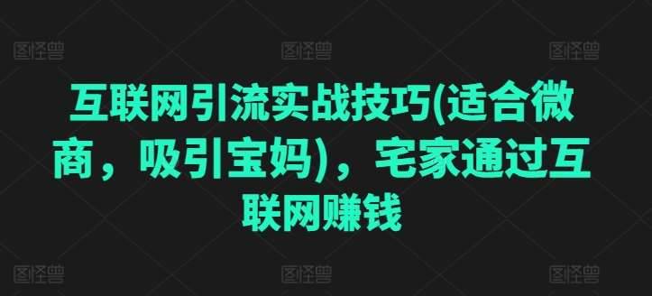 互联网引流实战技巧(适合微商，吸引宝妈)，宅家通过互联网赚钱-安稳项目网-网上创业赚钱首码项目发布推广平台-首码网