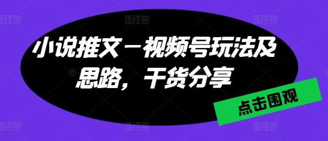 小说推文—视频号玩法及思路，干货分享-安稳项目网-网上创业赚钱首码项目发布推广平台-首码网