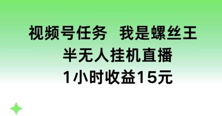 视频号任务，我是螺丝王， 半无人挂机1小时收益15元【揭秘】-安稳项目网-网上创业赚钱首码项目发布推广平台-首码网