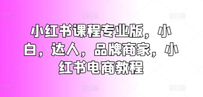 小红书课程专业版，小白，达人，品牌商家，小红书电商教程-安稳项目网-网上创业赚钱首码项目发布推广平台-首码网