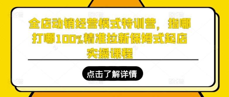 全店动销经营模式特训营，指哪打哪100%精准拉新保姆式起店实操课程-安稳项目网-网上创业赚钱首码项目发布推广平台-首码网