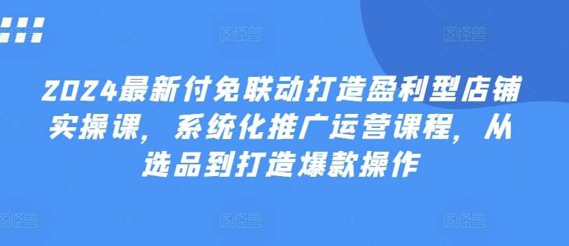 2024最新付免联动打造盈利型店铺实操课，​系统化推广运营课程，从选品到打造爆款操作-安稳项目网-网上创业赚钱首码项目发布推广平台-首码网