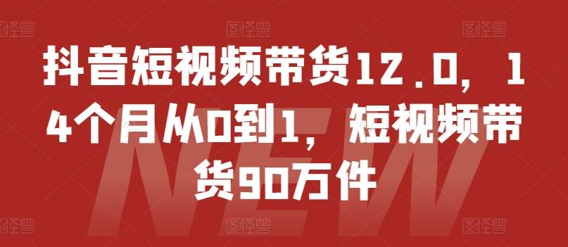 抖音短视频带货12.0，14个月从0到1，短视频带货90万件-安稳项目网-网上创业赚钱首码项目发布推广平台-首码网