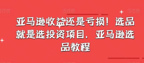 亚马逊收益还是亏损！选品就是选投资项目，亚马逊选品教程-安稳项目网-网上创业赚钱首码项目发布推广平台-首码网