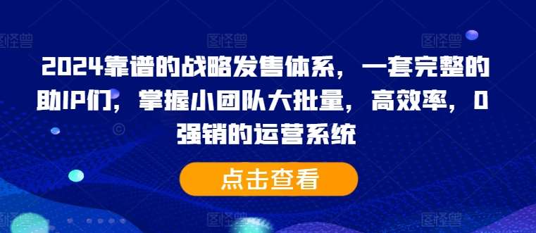 2024靠谱的战略发售体系，一套完整的助IP们，掌握小团队大批量，高效率，0 强销的运营系统-安稳项目网-网上创业赚钱首码项目发布推广平台-首码网