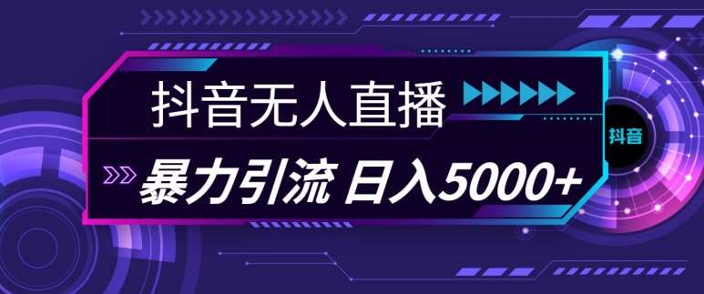 抖音快手视频号全平台通用无人直播引流法，利用图片模板和语音话术，暴力日引流100+创业粉【揭秘】-安稳项目网-网上创业赚钱首码项目发布推广平台-首码网