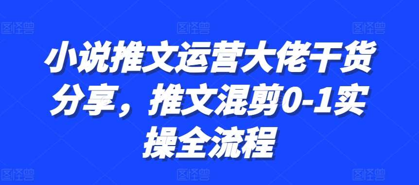 小说推文运营大佬干货分享，推文混剪0-1实操全流程-安稳项目网-网上创业赚钱首码项目发布推广平台-首码网