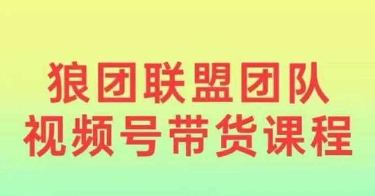 狼团联盟2024视频号带货，0基础小白快速入局视频号-安稳项目网-网上创业赚钱首码项目发布推广平台-首码网