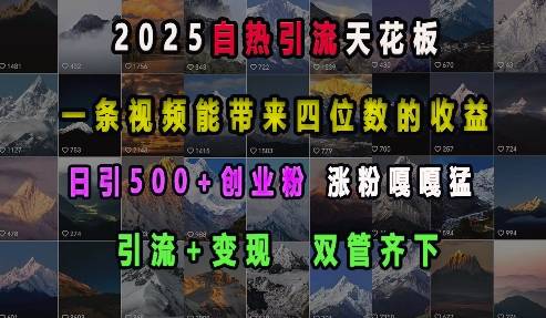 2025自热引流天花板，一条视频能带来四位数的收益，引流+变现双管齐下，日引500+创业粉，涨粉嘎嘎猛-安稳项目网-网上创业赚钱首码项目发布推广平台-首码网