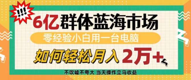 6亿群体蓝海市场，零经验小白用一台电脑，如何轻松月入过w【揭秘】-安稳项目网-网上创业赚钱首码项目发布推广平台-首码网