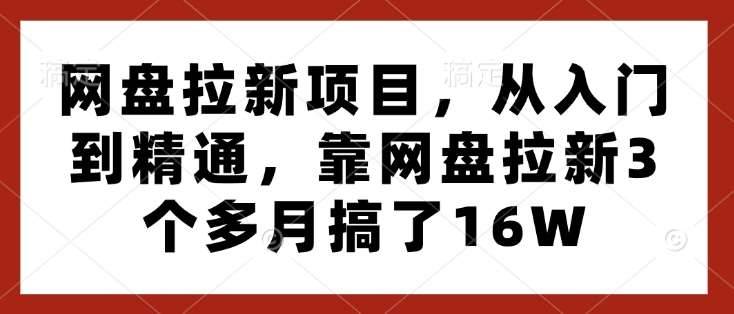 网盘拉新项目，从入门到精通，靠网盘拉新3个多月搞了16W-安稳项目网-网上创业赚钱首码项目发布推广平台-首码网