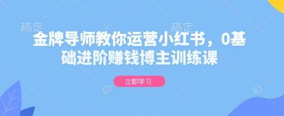 金牌导师教你运营小红书，0基础进阶赚钱博主训练课-安稳项目网-网上创业赚钱首码项目发布推广平台-首码网