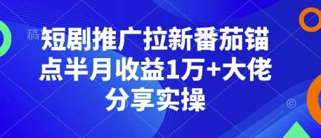 短剧推广拉新番茄锚点半月收益1万+大佬分享实操-安稳项目网-网上创业赚钱首码项目发布推广平台-首码网