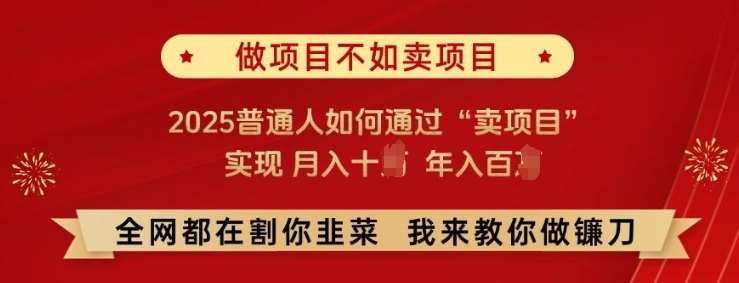 必看!做项目不如卖项目，2025普通人如何通过“卖项目”实现月入十个，年入百个【揭秘】-安稳项目网-网上创业赚钱首码项目发布推广平台-首码网