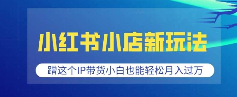 小红书小店新玩法，蹭这个IP带货，小白也能轻松月入过W【揭秘】-安稳项目网-网上创业赚钱首码项目发布推广平台-首码网