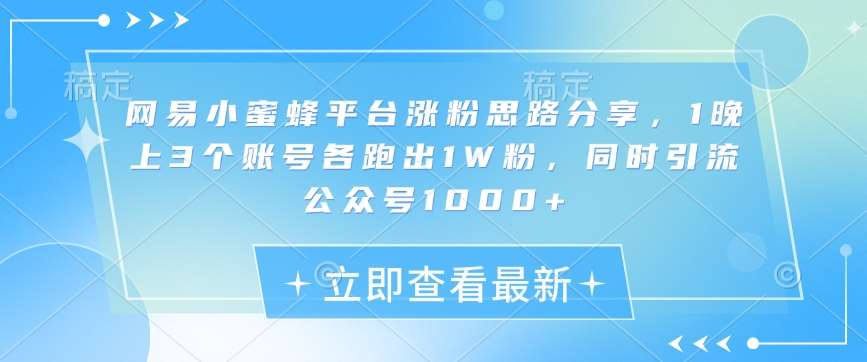 网易小蜜蜂平台涨粉思路分享，1晚上3个账号各跑出1W粉，同时引流公众号1000+-安稳项目网-网上创业赚钱首码项目发布推广平台-首码网