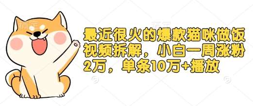 最近很火的爆款猫咪做饭视频拆解，小白一周涨粉2万，单条10万+播放(附保姆级教程)-安稳项目网-网上创业赚钱首码项目发布推广平台-首码网