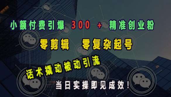 小额付费引爆 300 + 精准创业粉，零剪辑、零复杂起号，话术撬动被动引流，当日实操即见成效-安稳项目网-网上创业赚钱首码项目发布推广平台-首码网