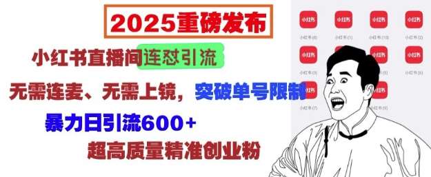 2025重磅发布：小红书直播间连怼引流，无需连麦、无需上镜，突破单号限制，暴力日引流600+-安稳项目网-网上创业赚钱首码项目发布推广平台-首码网