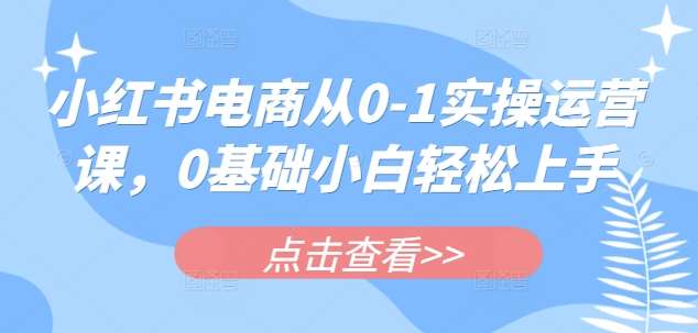 小红书电商从0-1实操运营课，0基础小白轻松上手-安稳项目网-网上创业赚钱首码项目发布推广平台-首码网