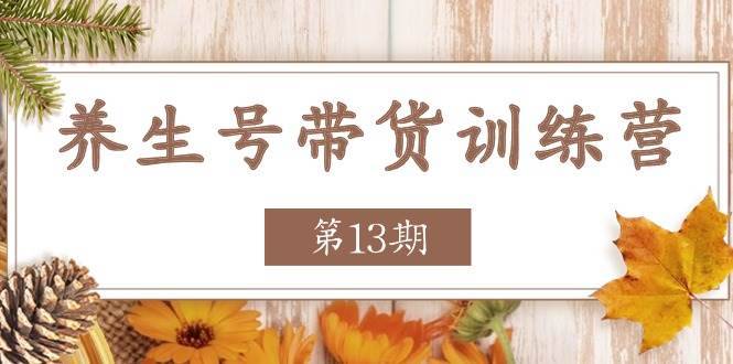 （11275期）养生号-带货训练营【第13期】收益更稳定的玩法，让你带货收益爆炸-安稳项目网-网上创业赚钱首码项目发布推广平台-首码网