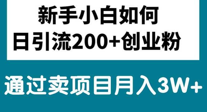 （10843期）新手小白日引流200+创业粉,通过卖项目月入3W+-安稳项目网-网上创业赚钱首码项目发布推广平台-首码网