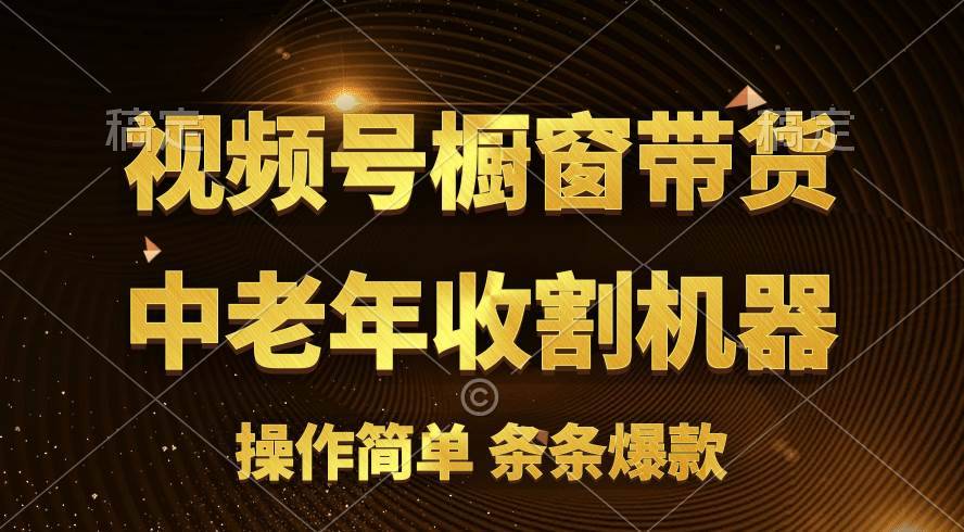 （11009期）[你的孩子成功取得高位]视频号最火爆赛道，橱窗带货，流量分成计划，条…-安稳项目网-网上创业赚钱首码项目发布推广平台-首码网