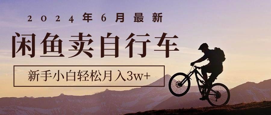 （10915期）2024年6月最新闲鱼卖自行车，新手小白轻松月入3w+项目-安稳项目网-网上创业赚钱首码项目发布推广平台-首码网