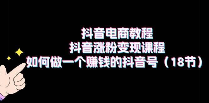 （11436期）抖音电商教程：抖音涨粉变现课程：如何做一个赚钱的抖音号（18节）-安稳项目网-网上创业赚钱首码项目发布推广平台-首码网