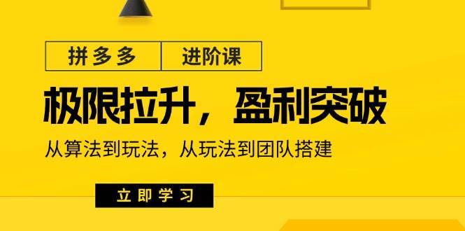 （11435期）拼多多·进阶课：极限拉升/盈利突破：从算法到玩法 从玩法到团队搭建-18节-安稳项目网-网上创业赚钱首码项目发布推广平台-首码网