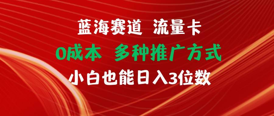 图片[1]-（11768期）蓝海赛道 流量卡 0成本 小白也能日入三位数-安稳项目网-网上创业赚钱首码项目发布推广平台-首码网