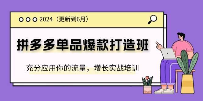 （11556期）2024拼多多-单品爆款打造班(更新6月)，充分应用你的流量，增长实战培训-安稳项目网-网上创业赚钱首码项目发布推广平台-首码网