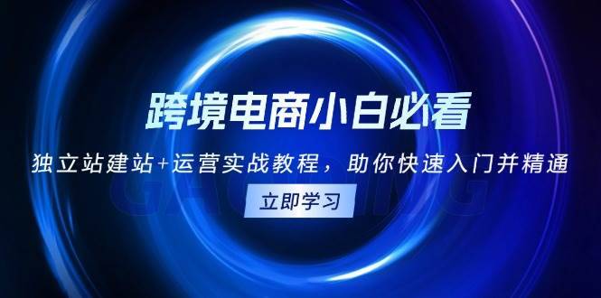 （13503期）跨境电商小白必看！独立站建站+运营实战教程，助你快速入门并精通-安稳项目网-网上创业赚钱首码项目发布推广平台-首码网