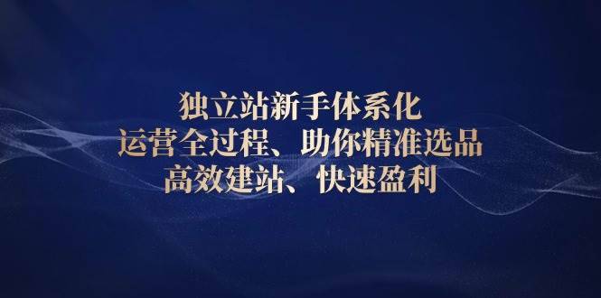 （13914期）独立站新手体系化 运营全过程，助你精准选品、高效建站、快速盈利-安稳项目网-网上创业赚钱首码项目发布推广平台-首码网