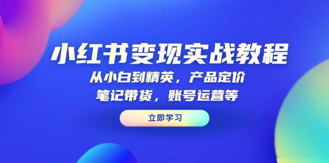 （13923期）小红书变现实战教程：从小白到精英，产品定价，笔记带货，账号运营等-安稳项目网-网上创业赚钱首码项目发布推广平台-首码网