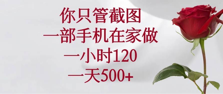 （14248期）你只管截图，一部手机在家做，一小时120，一天500+-安稳项目网-网上创业赚钱首码项目发布推广平台-首码网